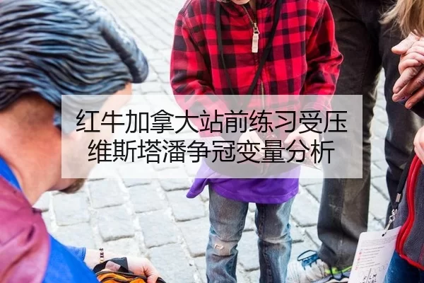 红牛加拿大站前练习受压 维斯塔潘争冠变量分析